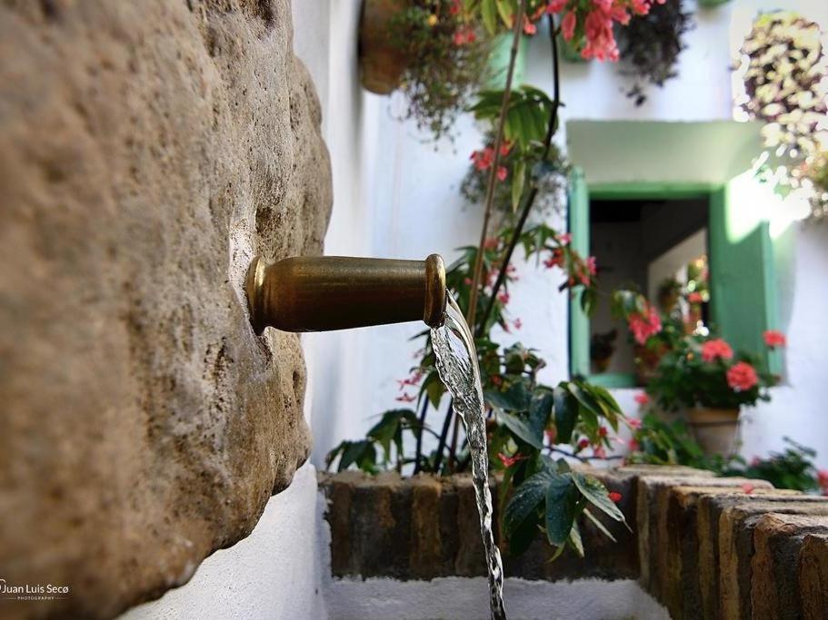 La Casa De La Costurera Διαμέρισμα Κόρδοβα Εξωτερικό φωτογραφία