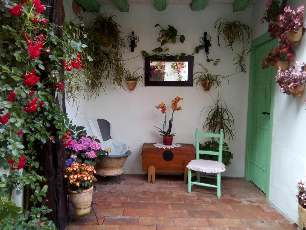 La Casa De La Costurera Διαμέρισμα Κόρδοβα Εξωτερικό φωτογραφία